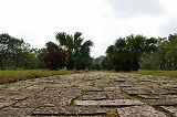 varan_hue_citadelle_03.jpg