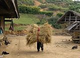 minala_sapa15.jpg