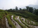 minala_sapa4.jpg
